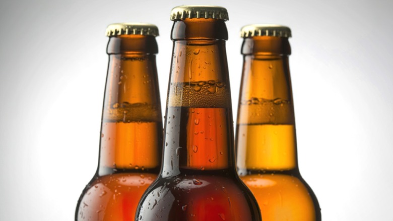 Three bottles of beer lined up against a white background.
