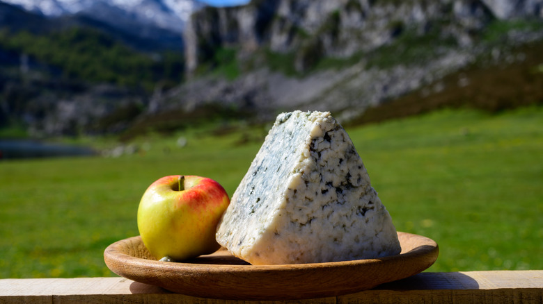 A wedge of blue cheese and an apple on a wooden plate in front of a mountainous background