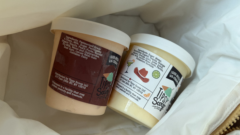 two ice cream pints rest in a cooling bag