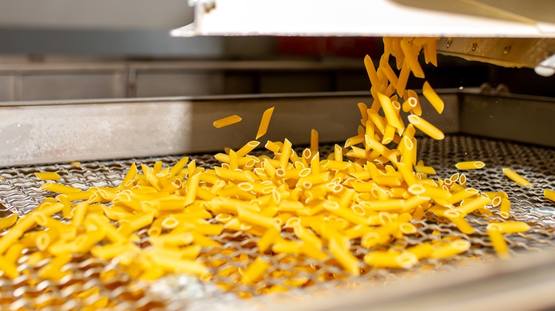 Pasta being made at factory