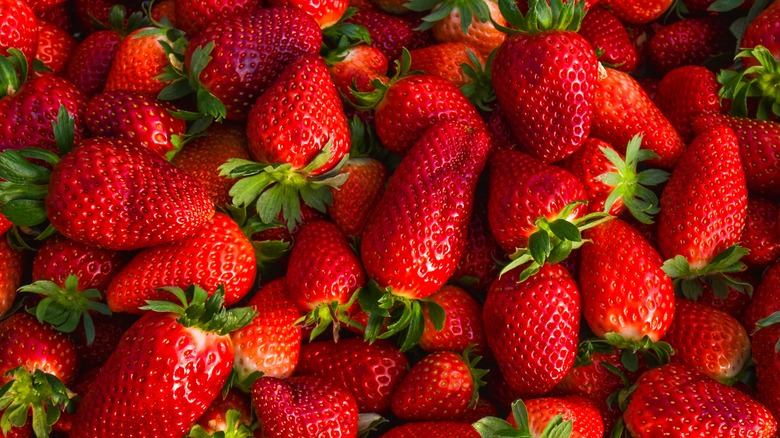 ripe fresh pile of strawberries