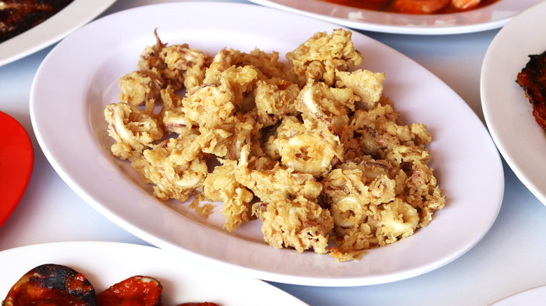 Fried squid appetizer on white plate