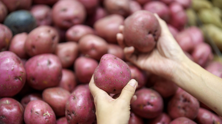 Hands picking up red potatoes in store