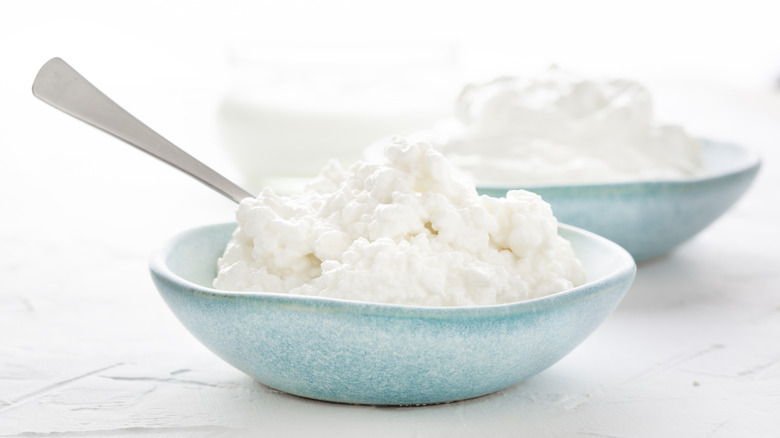 Cottage cheese in two blue bowls sitting on a counter.