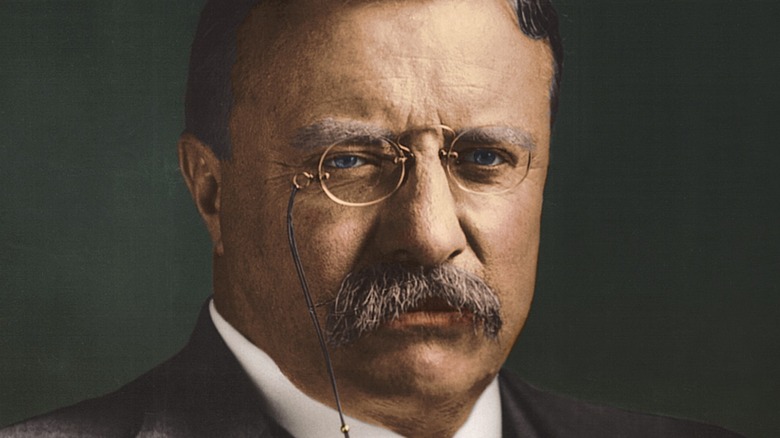 Teddy Roosevelt wearing gold colored spectacles