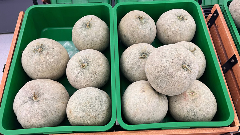 Bins filled with cantaloupes