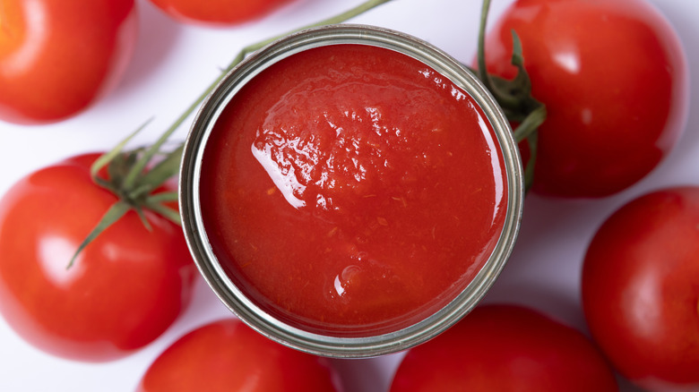 Canned tomato sauce surrounded by fresh tomatoes