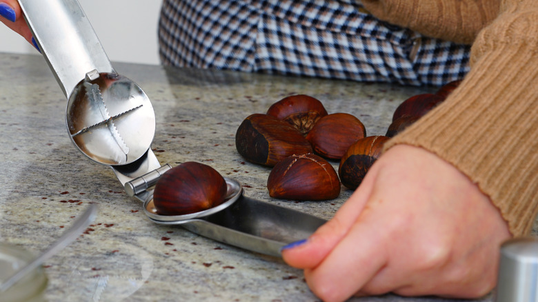 a person scores chestnuts before roasting with a chestnut scoring tool