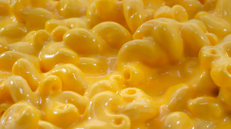 Creamy orange mac and cheese