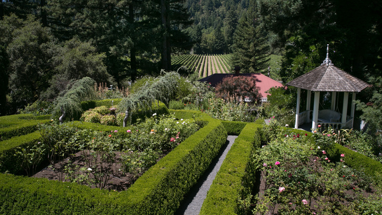 A view of the gardens at Korbel winery.