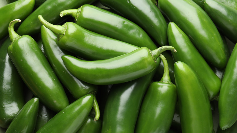 A large pile of jalapeño peppers