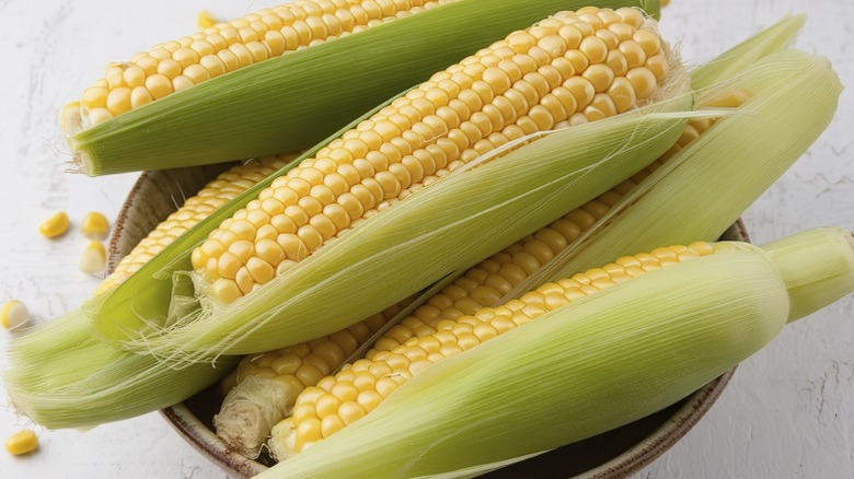 Fresh corn in husks sitting in a bowl