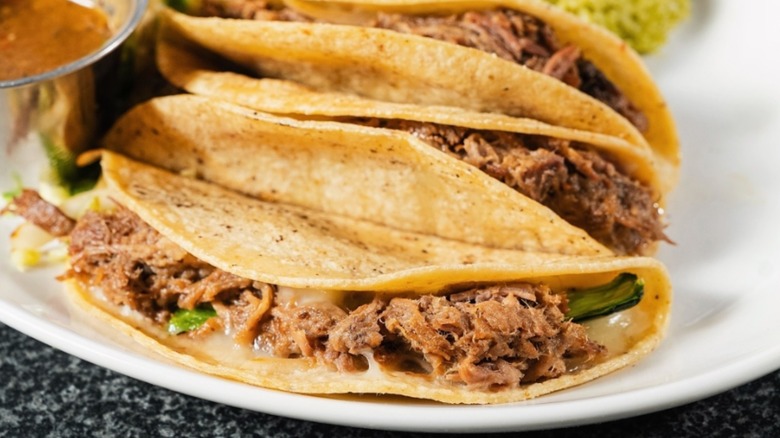 Trio of beef brisket tacos on a plate