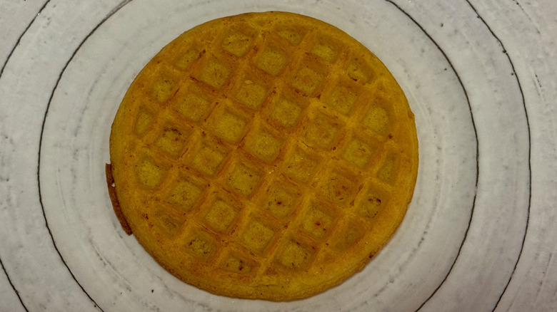 A plain toasted waffle on a white ceramic plate