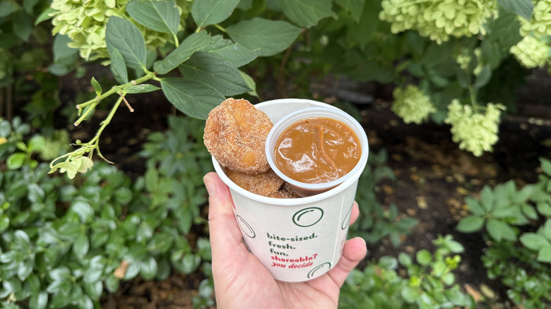 Krispy Kreme Churro Dot Doughnuts with dulce de leche sauce out in the wild
