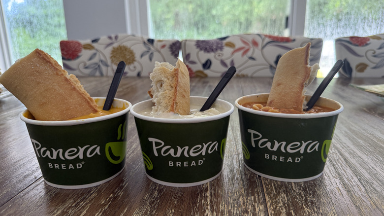 three Panera soups with bread on wooden table