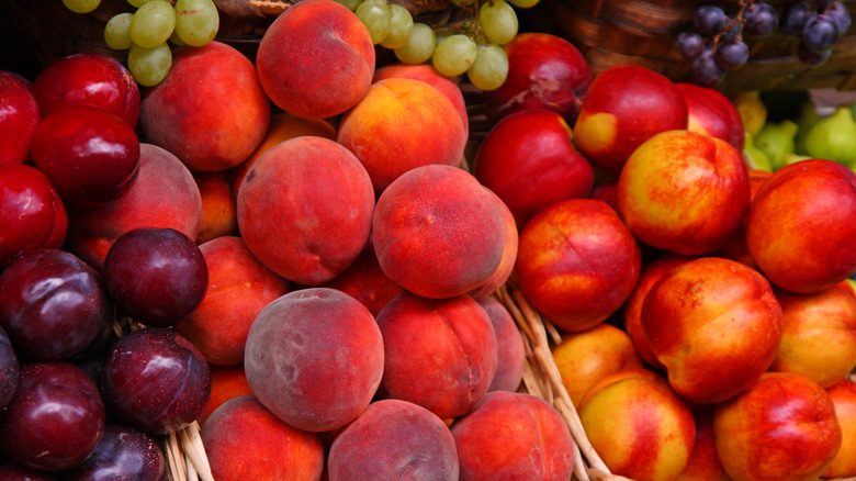 Nectarines, plums, and peaches