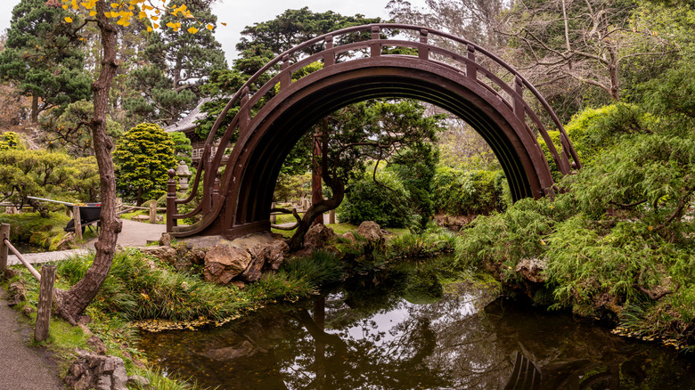 The drum bridge in the San Francisco Japanese Tea Garden, surrounded by foliage and a pond