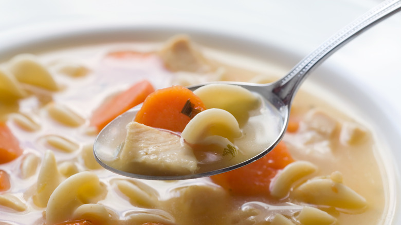 spoonful of chicken noodle soup with a slice of carrot