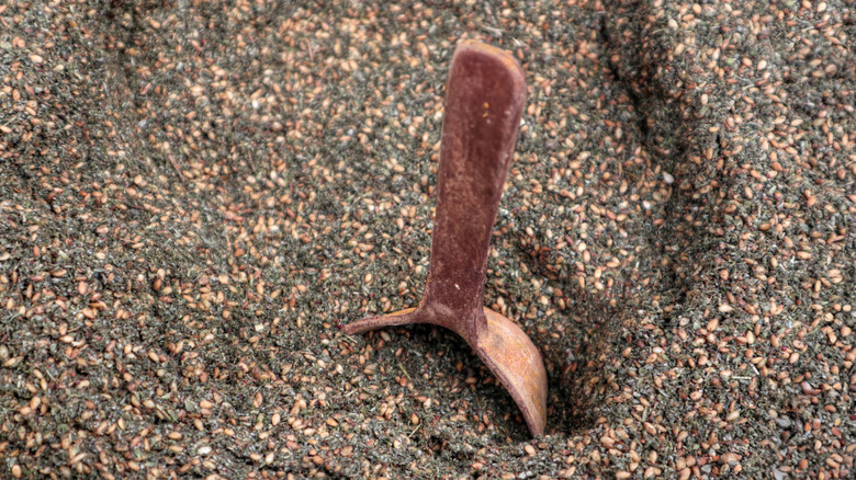 A wooden spoon half submerged in za'atar.