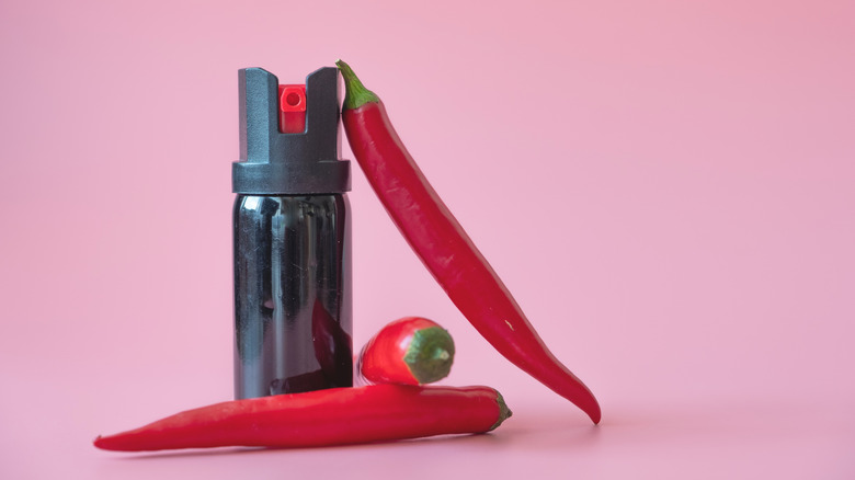 Three hot red peppers balance on a canister of pepper spray