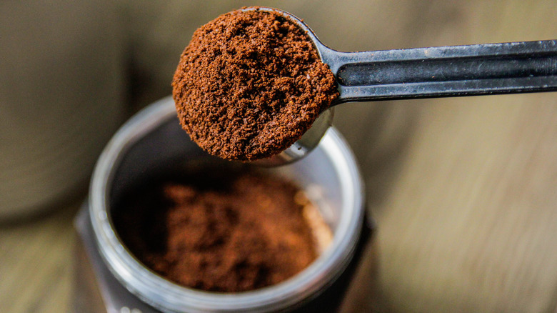 Spoonful of powdered espresso