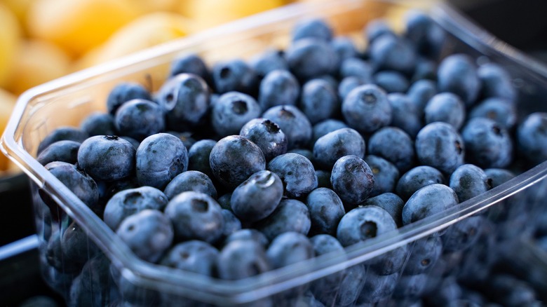 Blueberries in plastic container close up