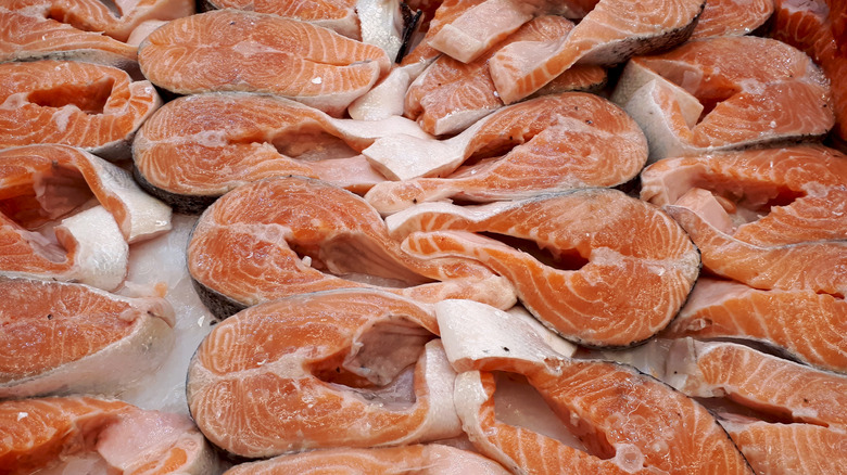 Salmon fillets on ice