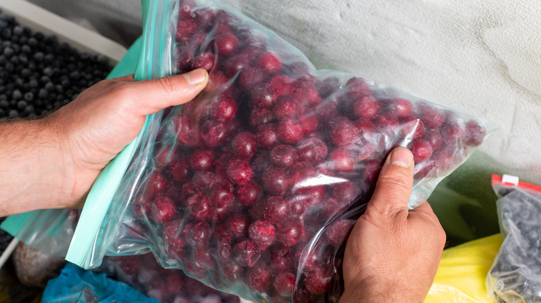 Hand holding a package with frozen cherries in the freezer.