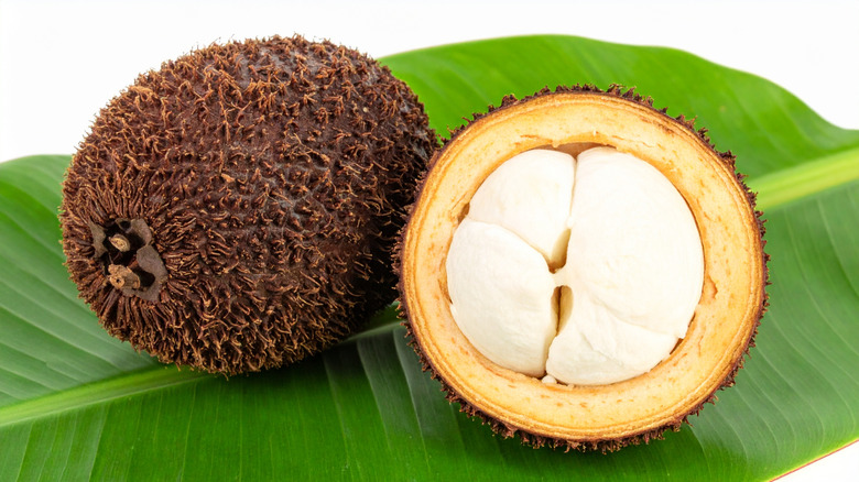 Brazilian Cupuacu sliced open in front of large green leaf