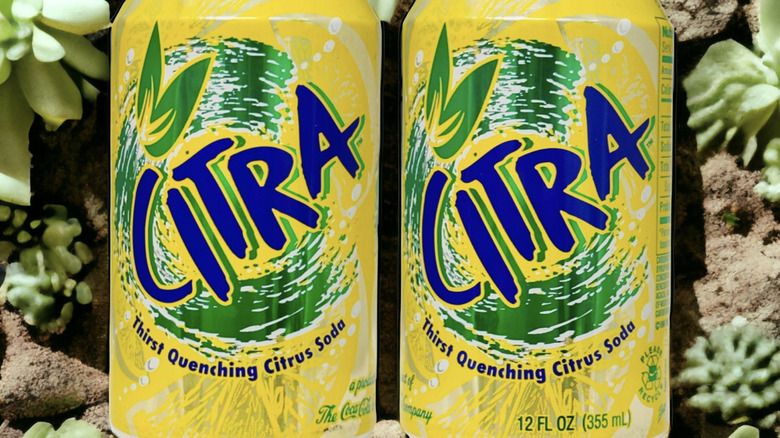 cans of Citra