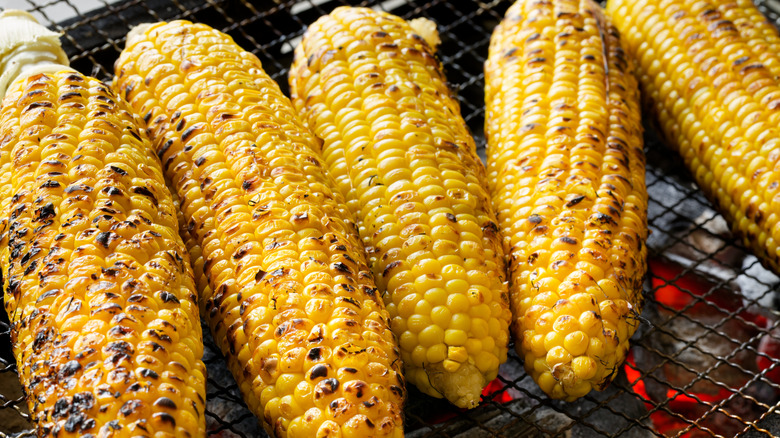 Close up of five ears of grilled corn on the cob