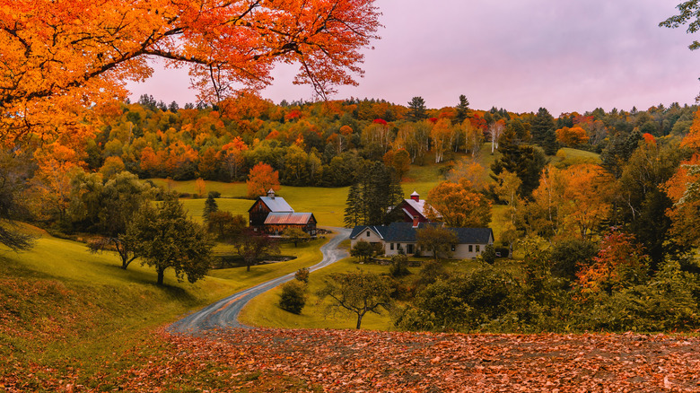 a picturesque fall day in Woodstock, Vermont