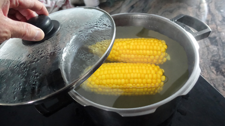 cooking two ears of corn in pot