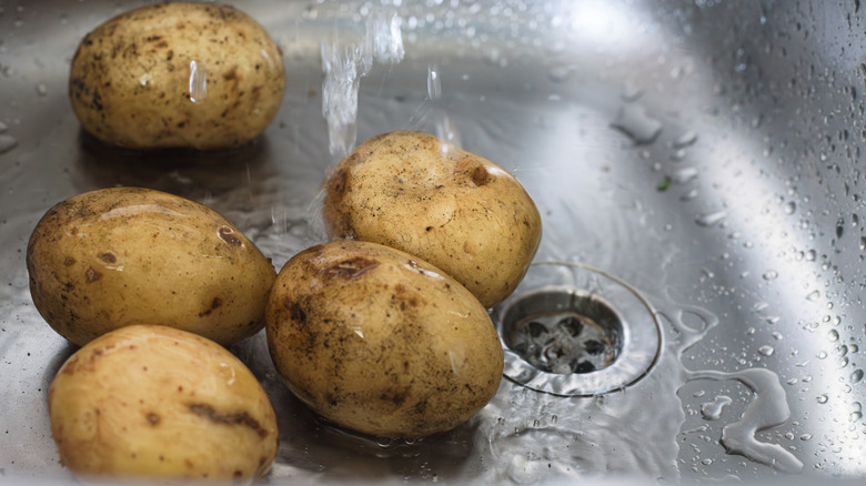 Dirty farmer's potatoes lying in kitchen sink under water flow.
