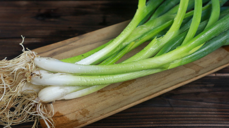 Green onions on a wooden plate with intact roots