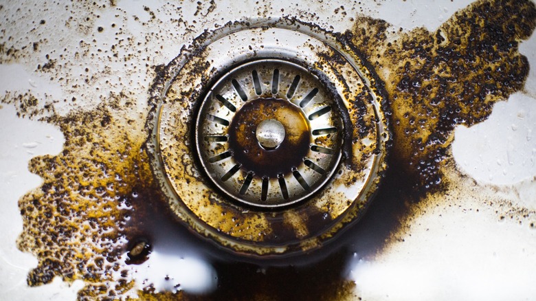 coffee dumped in the sink