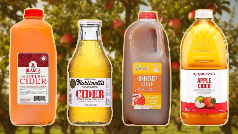 Four brands of apple cider jugs with a background of apple trees
