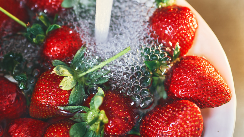 Strawberries being washing with tap water