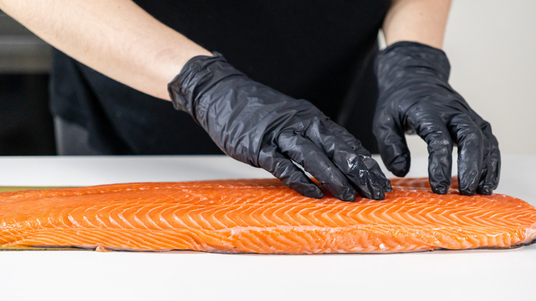 Gloved hands carefully inspect fresh salmon fillet