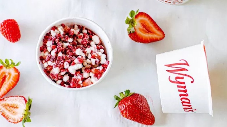 Wyman's Just Fruit & Greek Yogurt Bites in a white bowl