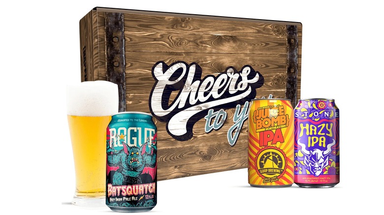 Rendering of the best IPAs 2025 gift box