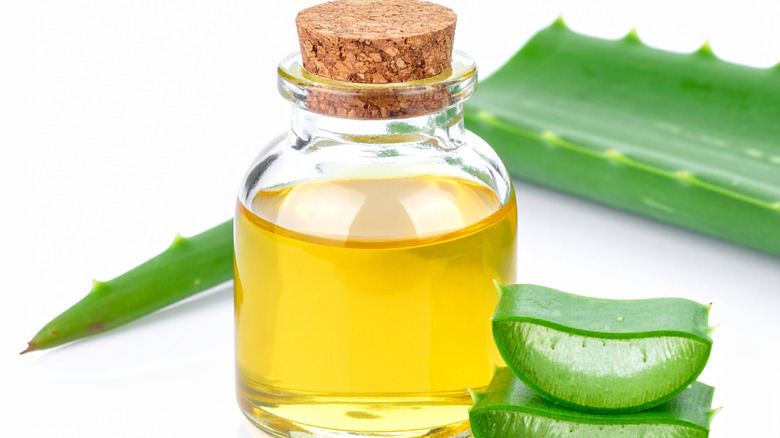 Agave syrup in a glass bottle next to the plant
