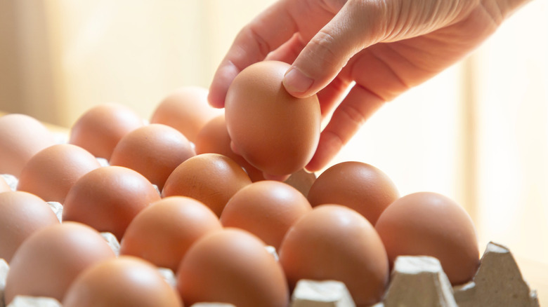 Hand picking eggs from tray