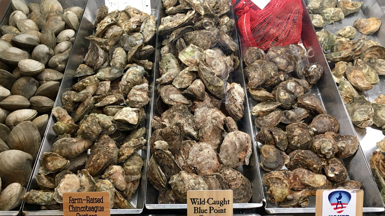 Oysters on display at Wegmans seafood market