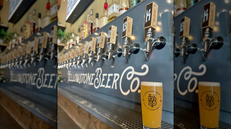 Yellowstone Beer Company interior with taps behind bar and logo/name written