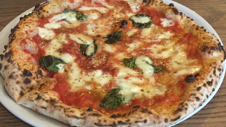 A whole Neapolitan-style Margherita pizza on a white plate set on a wood surface