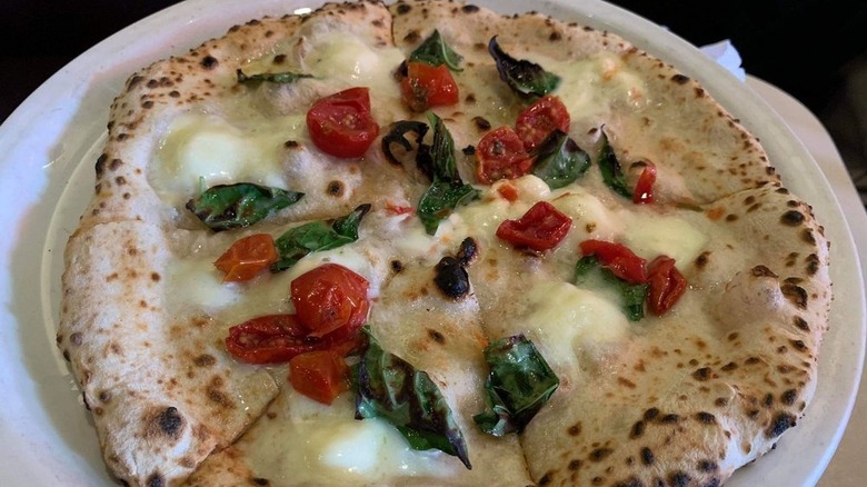 A whole Neapolitan-style pizza bianca topped with basil and chopped tomatoes on a white plate