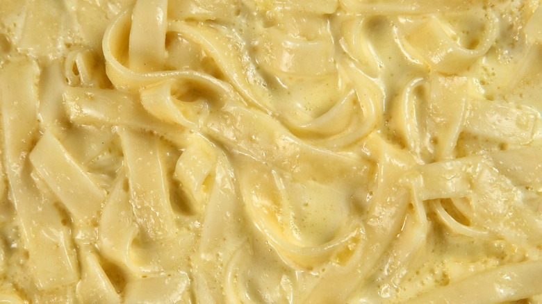 Fettuccine alfredo closeup