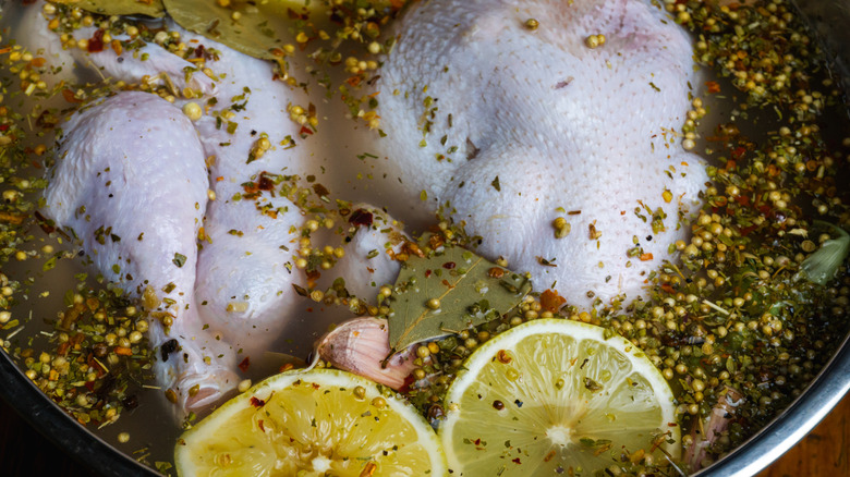 Raw chicken in a brine with spices and lemons